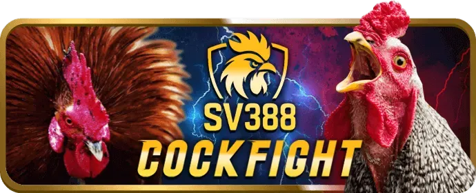 Chính sách chơi công bằng của big777 casino